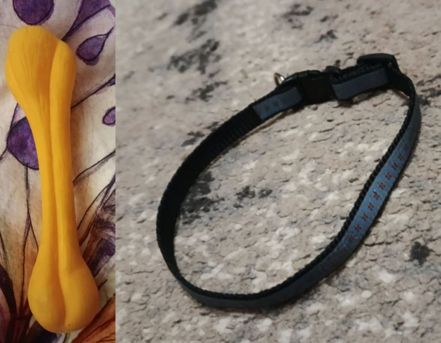 курточка для собачки/нашийник/іграшка