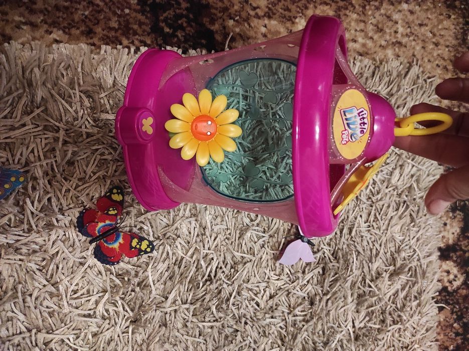 будинок для метеликів Little live pets