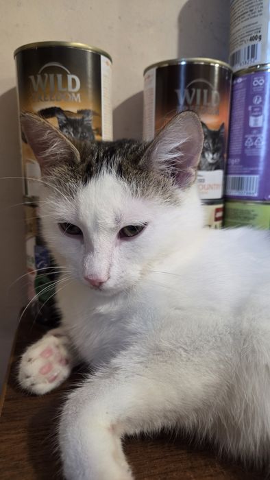 Lulu o hipnotyzującym spojrzeniu