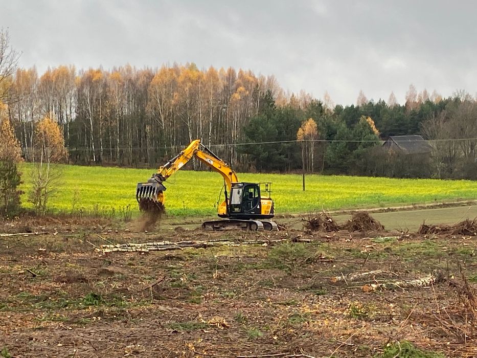 Mulczowanie Wycinka i Karczowanie Samosiejki Las