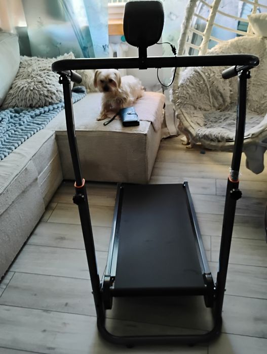 Bieżnia mechaniczna