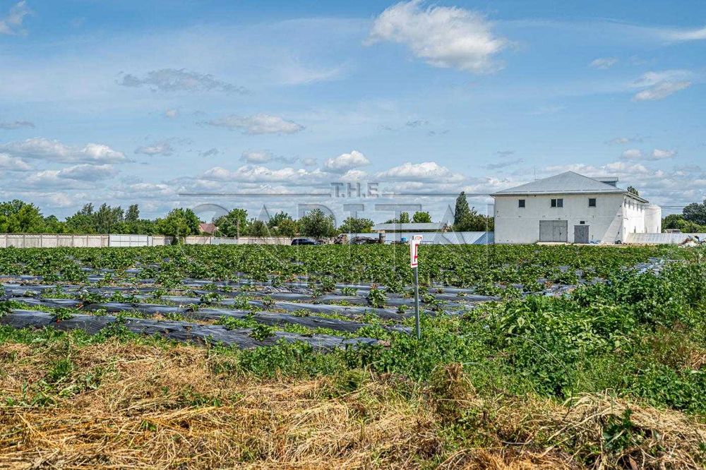 Продажа фермы, с. Русанов, Броварской р-н