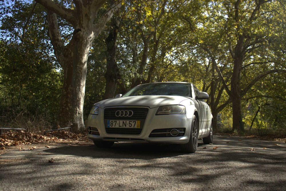 AUDI A3 Hatchback (8P1) 1.6 TDI 105 cv
