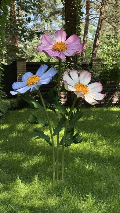 Ростові квіти для декору