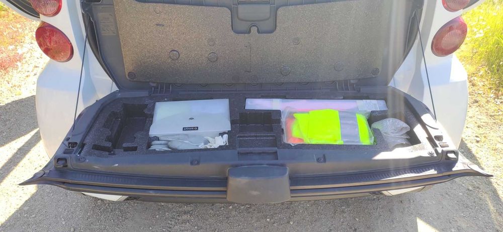 Smart Fortwo Coupé 0.8 cdi Pulse 54cv Softouch