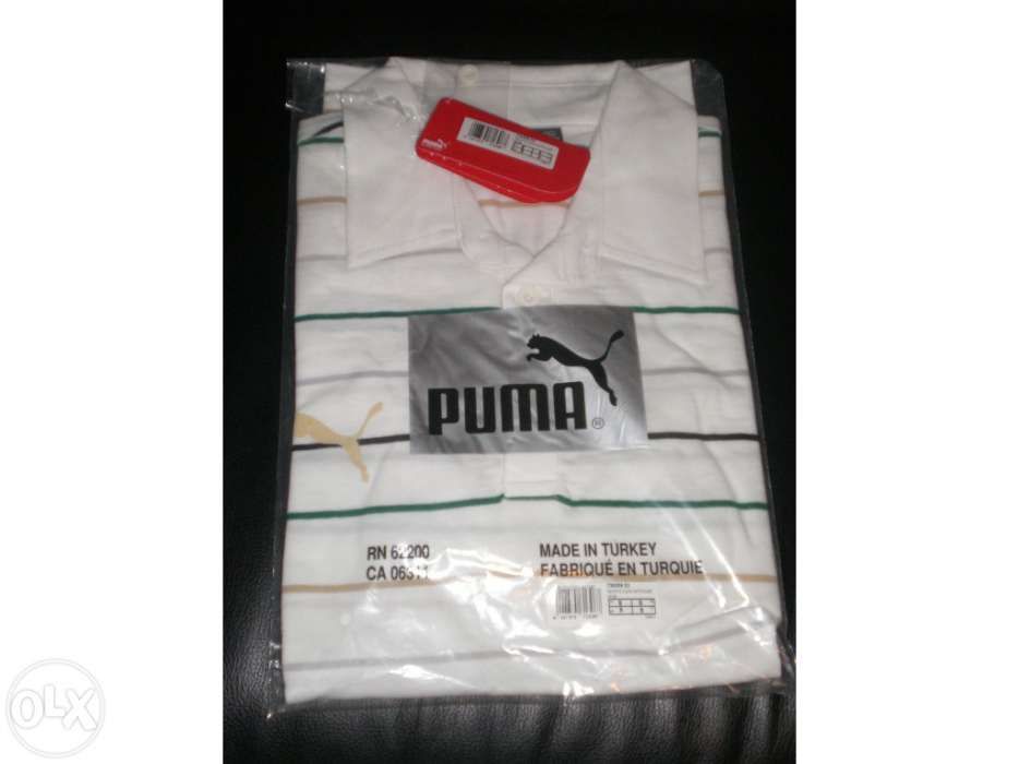 Polo oficial sporting novo