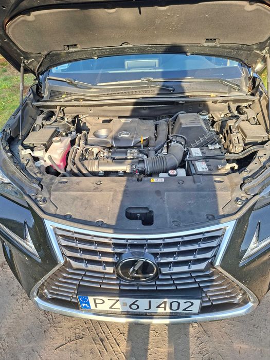 Samochód Osobowy Lexus NX 300