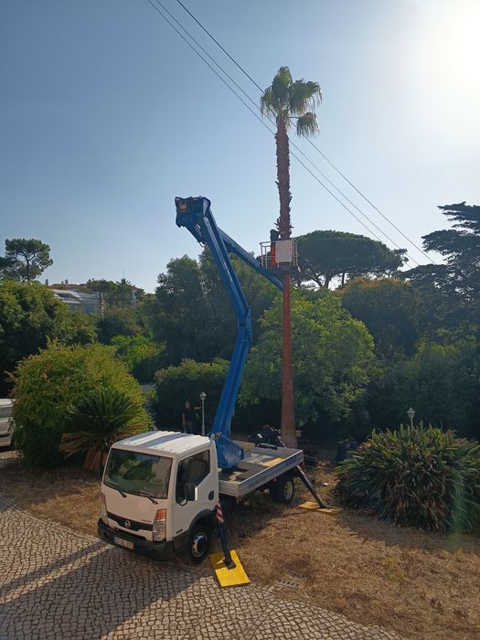 Aluguer de Camião Grua com Cesto
