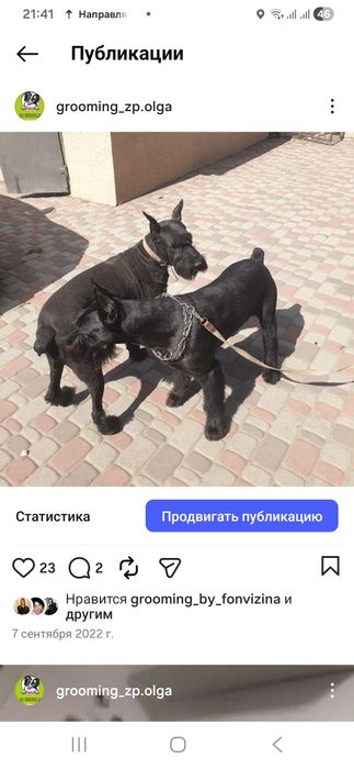 Стрипінг професійно