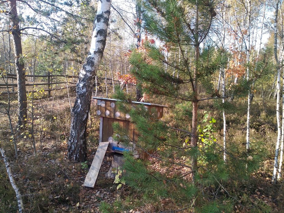 Продажі мед 2025. Пишіт