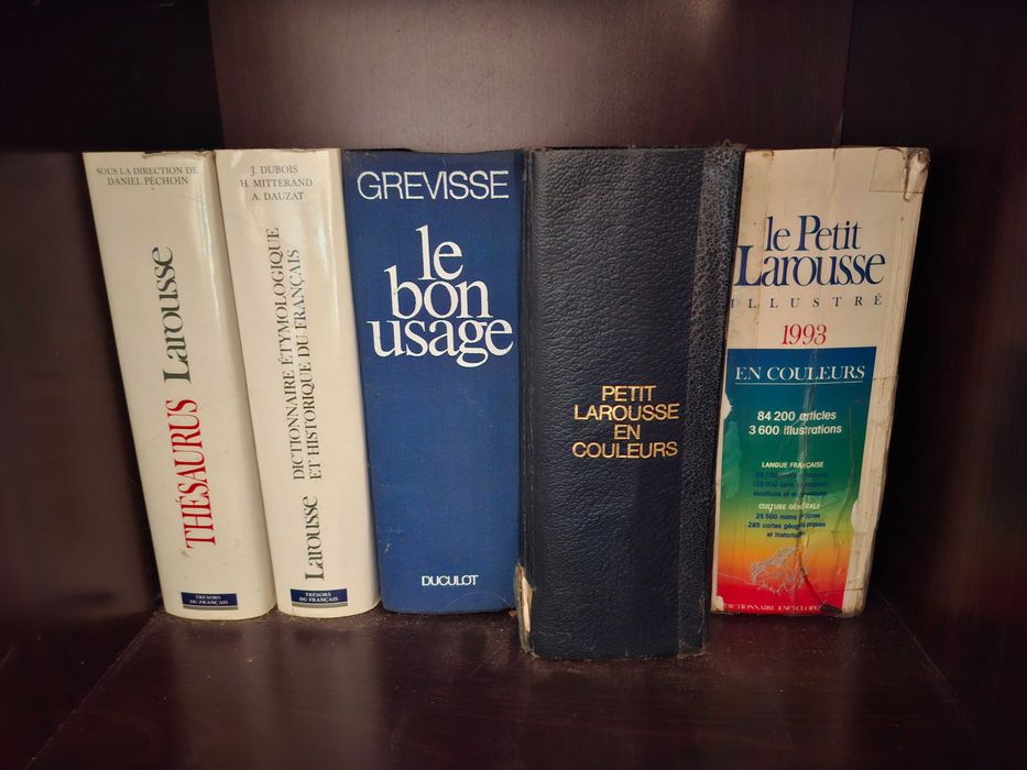 Livros de História e dicionários - Preço para lote
