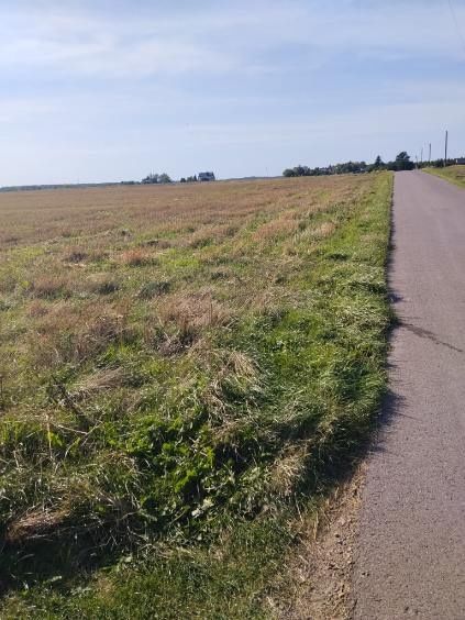 Działka rolno-inwestycyjna 2 z własnym odrębnym wjazdem k. Kłobucka - Widok 4