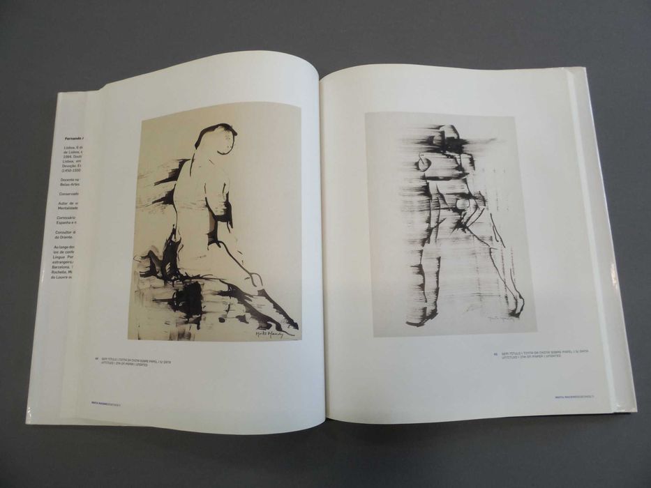 Livros Pintura Júlio Pomar, Paula Rego, Moita Macedo