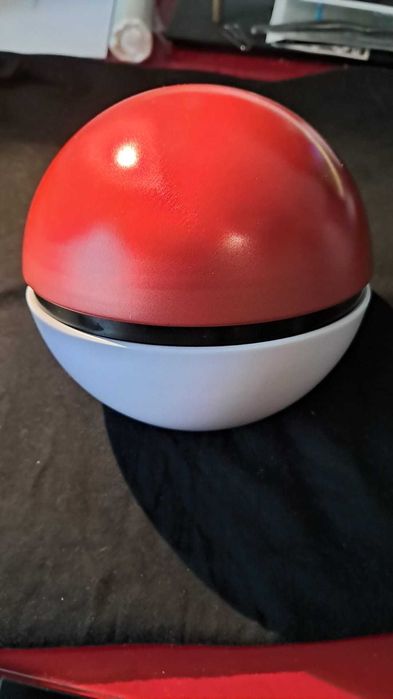 Poké Ball Pokémon