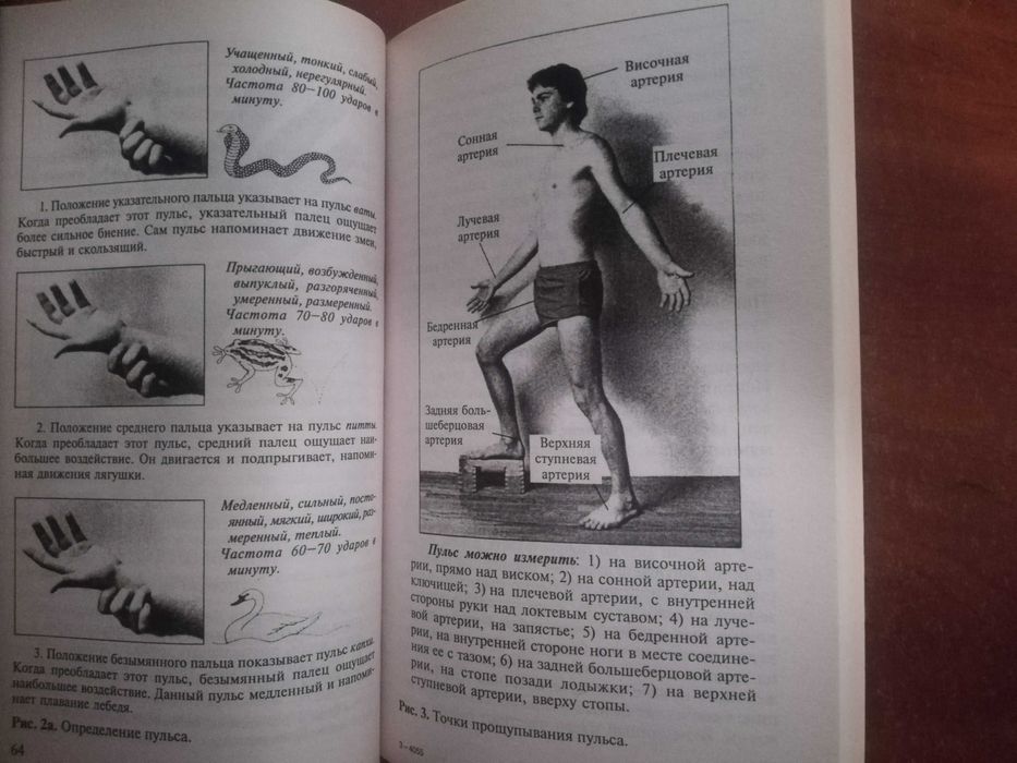 Лад Васант. Аюрведа,. Древнейшая наука самоисцеления и долголголетия