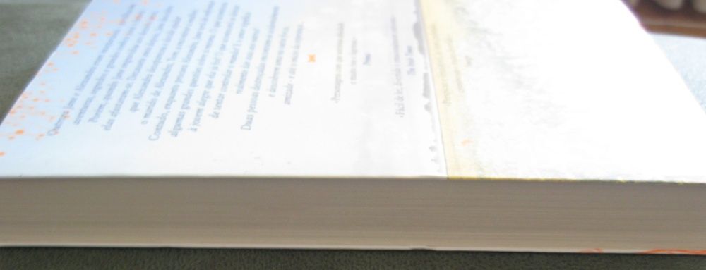 Um Amor Perdido de Anna McPartlin