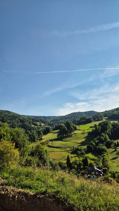 Domek do wynajęcia