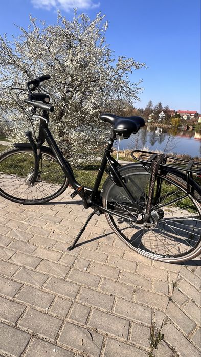 Rower Batavus allround