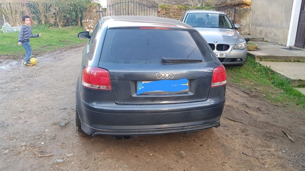 Audi A3 8p 1.9 tdi — photo 5