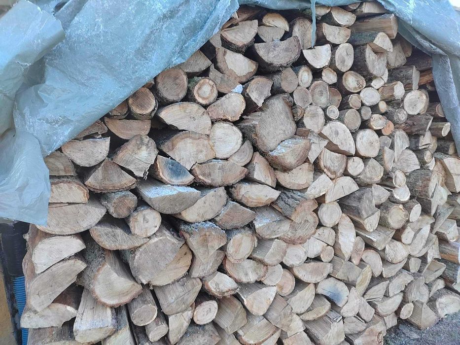 Drewno opalowe Dąb lupany