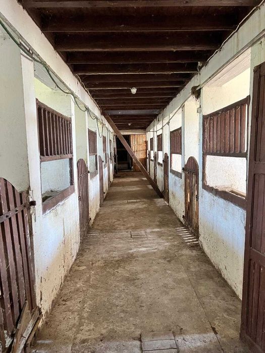 Dzierżawa stajni, wynajem, hodowla koni