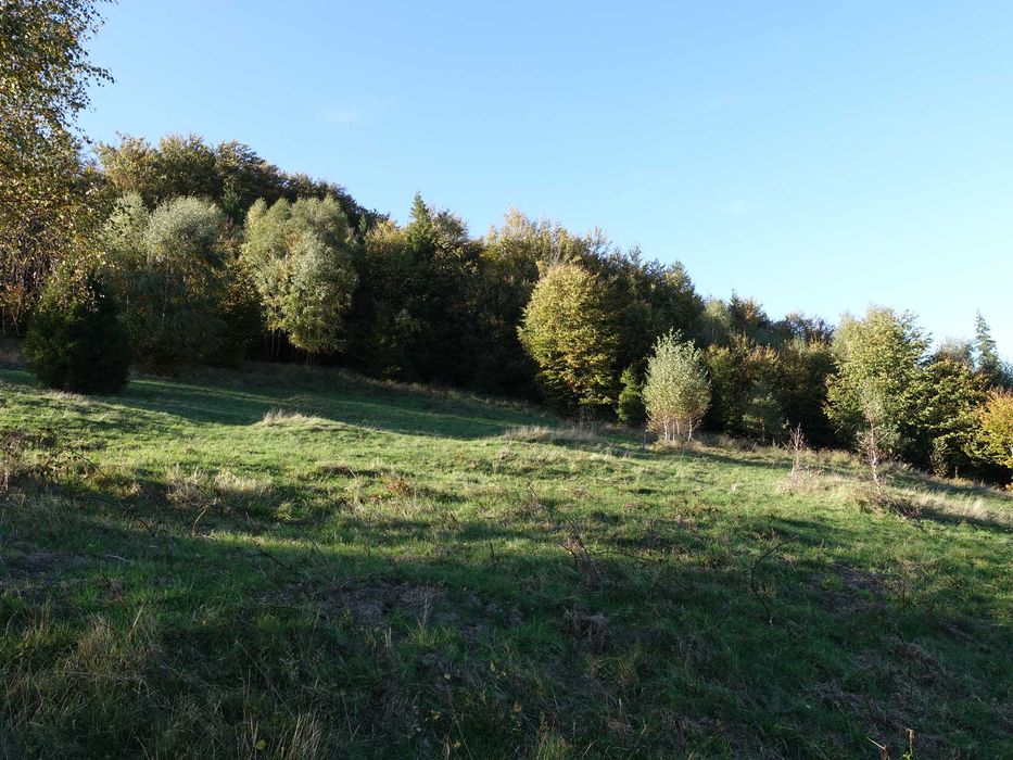 Brenna 2,53 ha inwestycyjna piękna panorama gór pod zabudowe