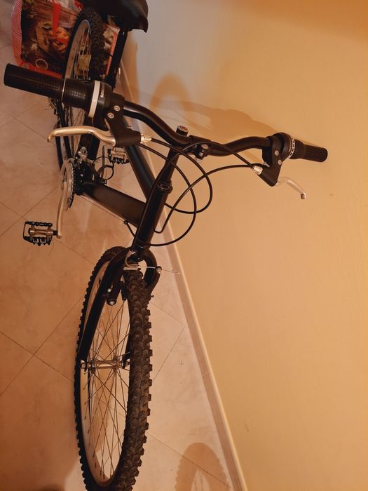 Bicicleta adulto