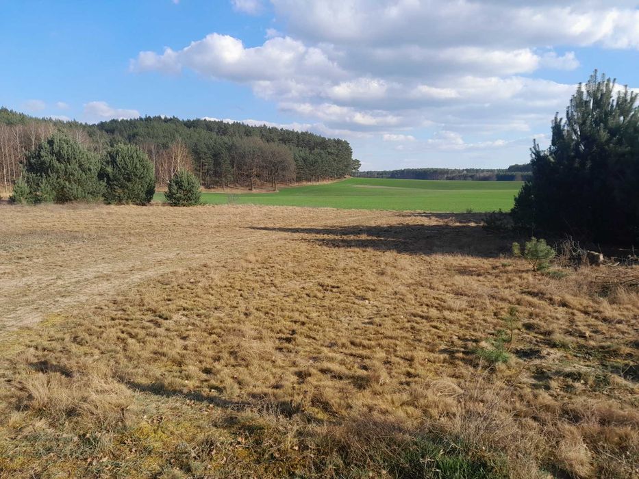 REZERWACJA Piękna Działka Budowlana Mpzp, Stoki . gm Pszczew - Widok 4