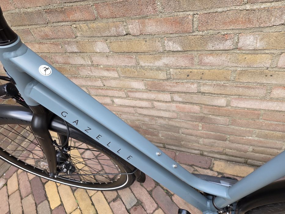 Gazelle Chamonix T20