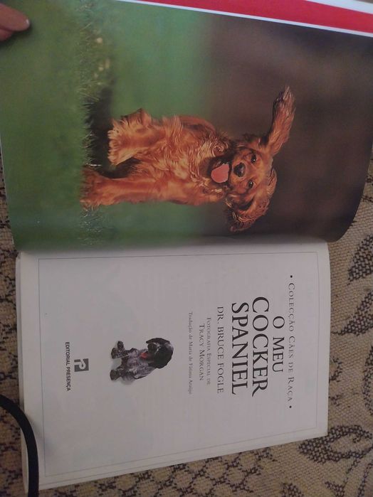 O meu cocker spaniel