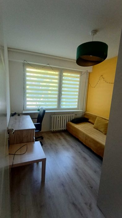 Pokój do wynajęcia