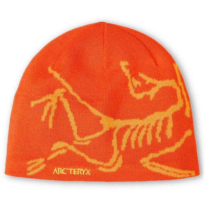 Шапка Arcteryx Bird Head Toque Solaris/Edziza