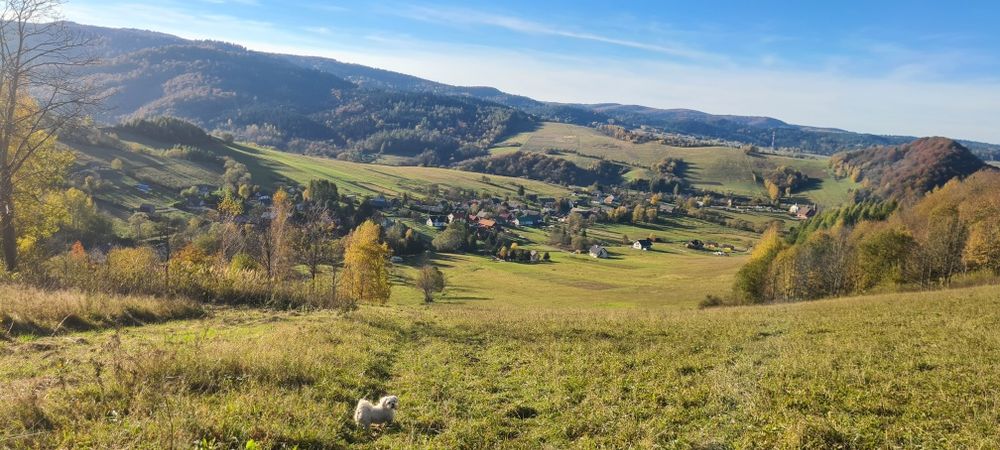 Domki w Gornym końcu Bieszczady Terka