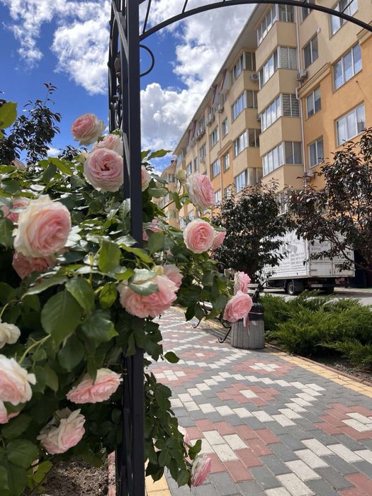 Продається сучасна 1-кк 42 м2 в ЖК «Київський маєток», розтермінування 2 роки