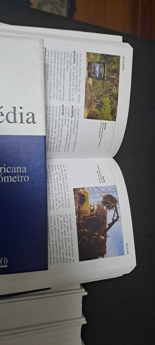Enciclopédia da Editorial Verbo, 20 volumes -  Nova
