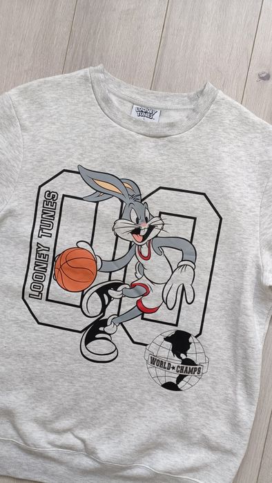 Męska bluza sportowa Looney Tunes roz.L