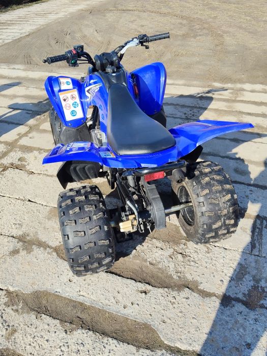 Yamaha yfm90r 2009r