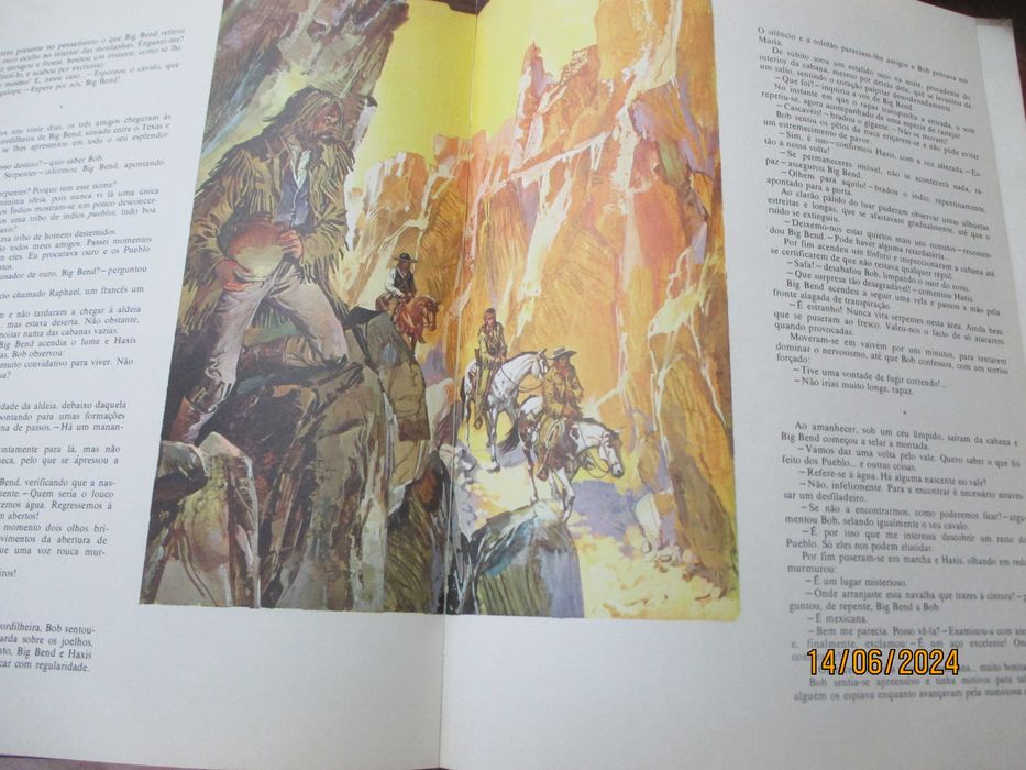 Livro - O filho de David Crockett