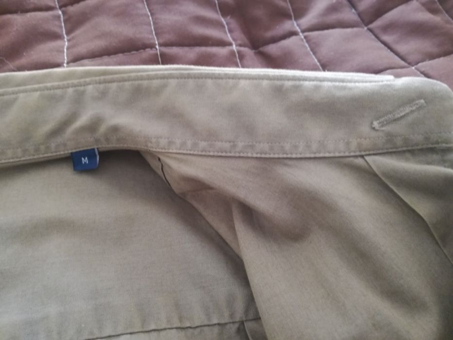 Camisa Lion of Porches