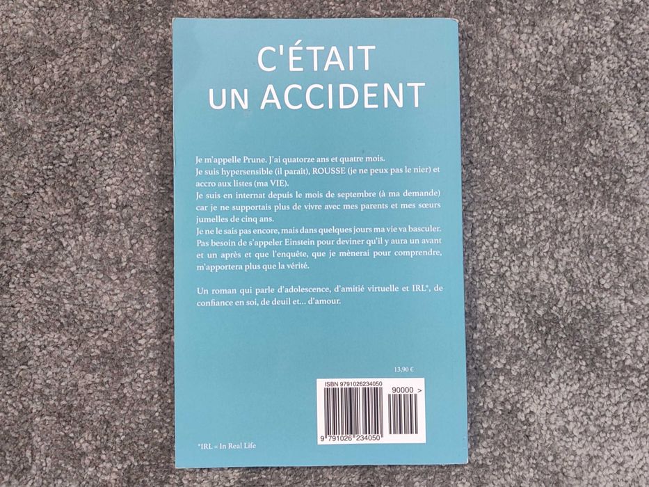 C'était un accident | Isabelle Lagarrigue
