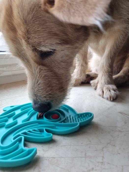 Килимок для повільного годування для котів та собак