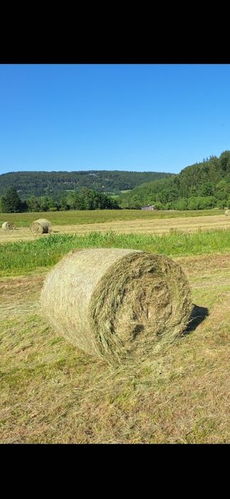 Sprzedam siano 125x125
