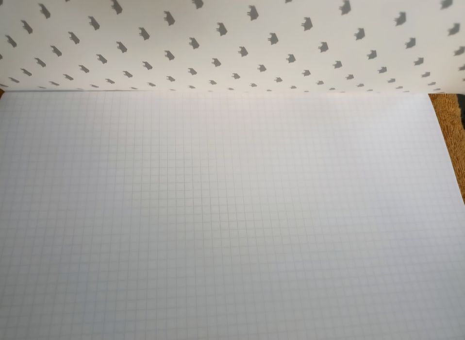 Zeszyty wk dzik 60 kartek A4