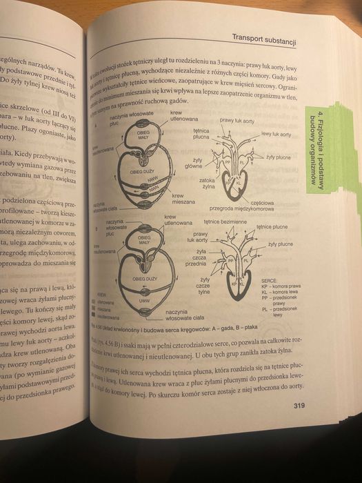 Rozszerzona matura biologia. Kompendium wiedzy.