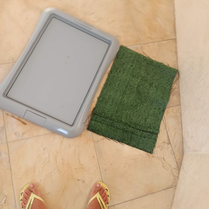 WC / Bandeja sanitária de treino para cães como novo