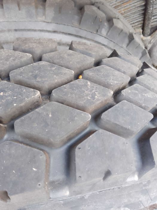 Камаз55111 1991р