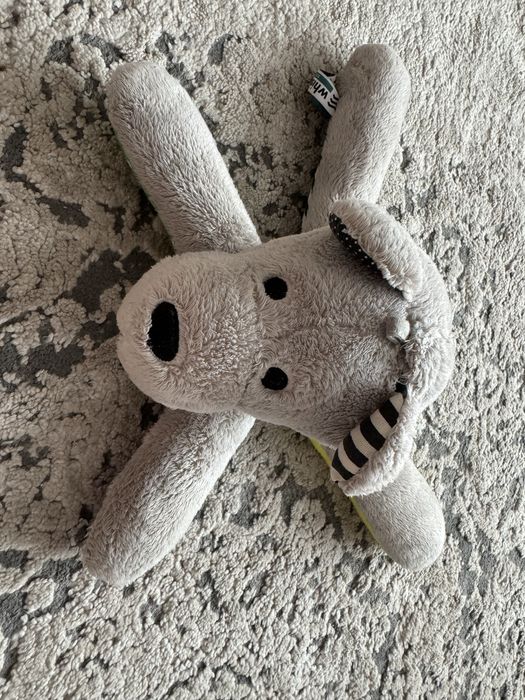 Miś szumiący szumiś Wishbear