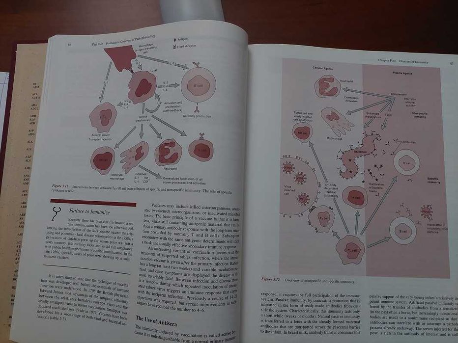 Livro Essentials of Pathophysiology - 2ª Edição, como novo