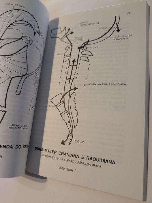 A Osteopatia e a Saúde