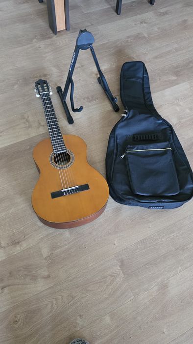 Viola rústica  com capa